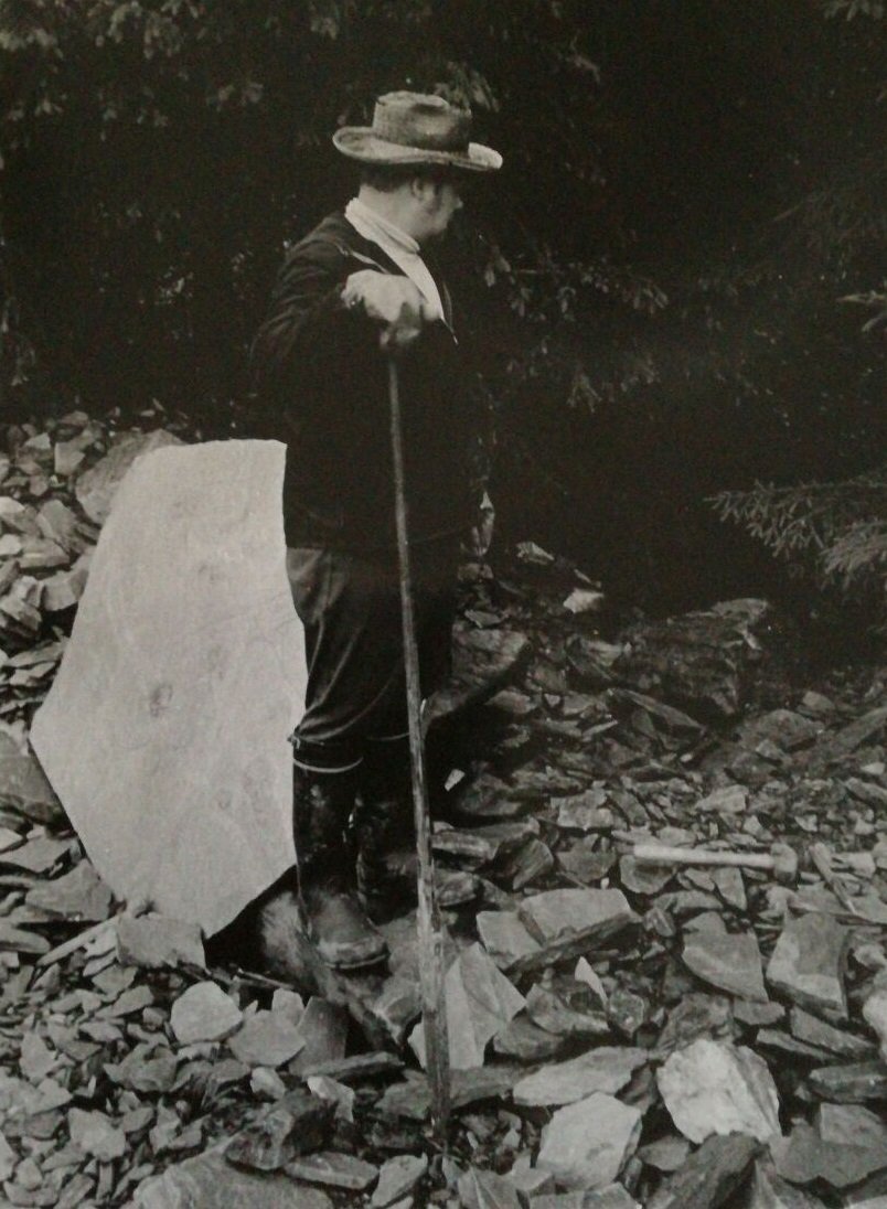 Alpo Tuominen